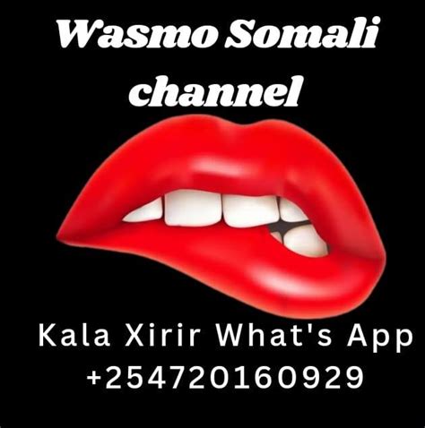 wasmo vip link telegram